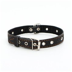 Ошейник кожаный Пижон усиленный капроном, с полукольцом, 55*2,5 см, ОШ 27-53 см, черный