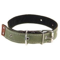Ошейник Пижон брезентовый, на фетре, 71*3,5 см, ОШ 30-55 см