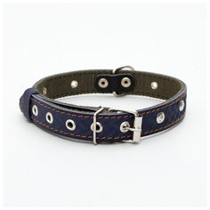 Ошейник комбинированный Пижон кожа-брезент, безразмерный, 56*2,5 см, синий