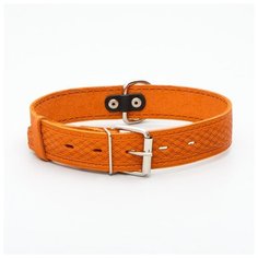 Ошейник кожаный Пижон однослойный, 64*3,5 см, ОШ 49-61 см, рыжий