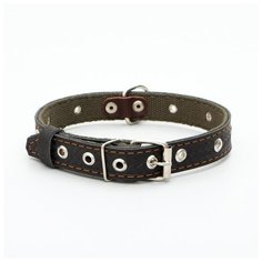 Ошейник комбинированный Пижон кожа-брезент, безразмерный, 56*2,5 см, черный