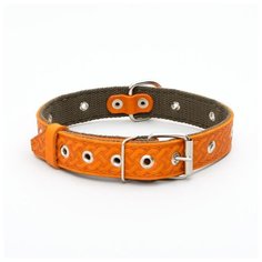 Ошейник комбинированный Пижон безразмерный, кожа-брезент, 60*3 см, ОШ 30-57 см, рыжий-зеленый