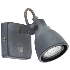 Спот GOTTO A9189AP-1GY Arte Lamp