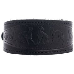 Ошейник ZOOexpress Камбала 0760, обхват шеи 25-30 см черный