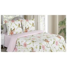 Ecotex Постельное белье Perfection br01819 (2 спал.)