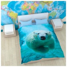 Постельное белье Kantri br29342 (2 сп. евро) New Tone