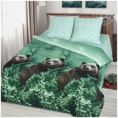 АРТПОСТЕЛЬ Постельное белье Arlene br31747 (2 спал.)