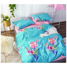 СайлиД Постельное белье Bailey (2 сп. евро) br37396