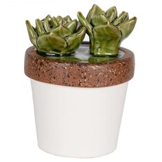 Статуэтка ArtevaLuce Эхеверия В Белом Горшке, 24 см белый/зеленый/коричневый