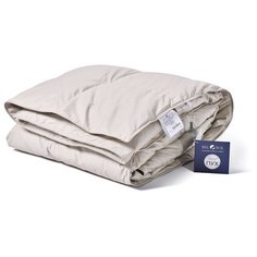 Бел-Поль Одеяло Всесезонное Terra (200х220 см) br45974