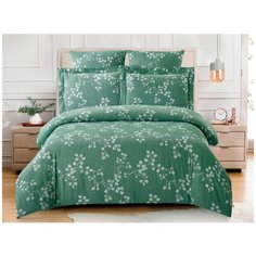 Cleo Постельное белье Paysley br47564 (2 сп. евро)