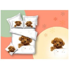 Кот Барбарис Детское Постельное белье Candice br56072 (200х220 см)