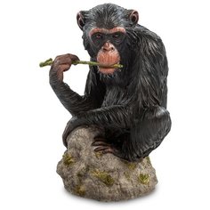 WS-766 Статуэтка Шимпанзе Veronese