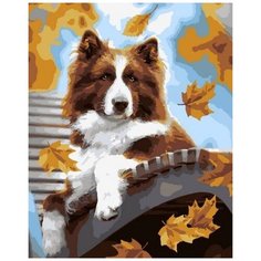 LORI Картина по номерам "Осенний пёс" 40 х 50 см (Кпн-187)