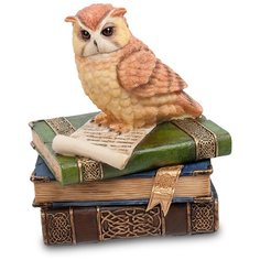 WS-719 Шкатулка Сова на книгах Veronese