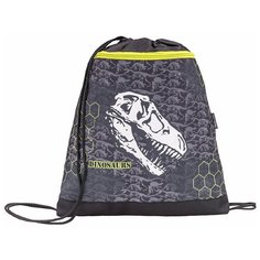 Мешок-рюкзак для обуви Belmil Dinosaurus, с вент. сеткой и объем. карм. на молн., 35х43 см