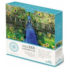 Пазл Origami Виа Терра. Пестрый павлин, 1000 эл. 5236
