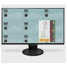 Монитор Eizo FlexScan EV2451 EV2451-BK
