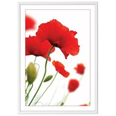 Фоторамка Veld co 7907 пластиковая 15Х21