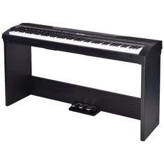 Цифровое пианино Medeli SP3000+stand черный