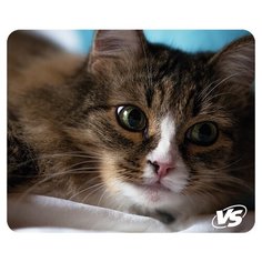 Коврик для компьютерной мыши VS "Cat", Рис.4 (180*220*2 мм)