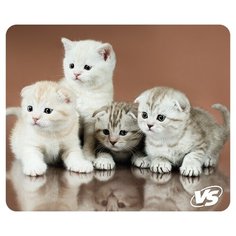 Коврик для компьютерной мыши VS "Cat", Рис.6 (194*233*3 мм)