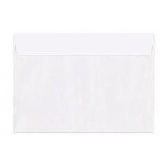 Конверт Ряжская печатная фабрика 124400 C4 (229 х 324 мм)
