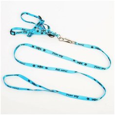 Комплект Дай пять капрон 1 см 1 слойный, шлейка 26 39см, поводок 120см Пушистое счастье