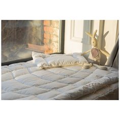 BSC-315 Комплект BABY SILK COСOОN подушка/одеяло German Grass