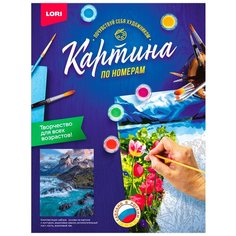 LORI картина по номерам Дикое море 40х50 см
