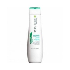 Matrix, biolage scalpsync cooling mint shampoo - освежающий мятный шампунь для кожи головы 250мл