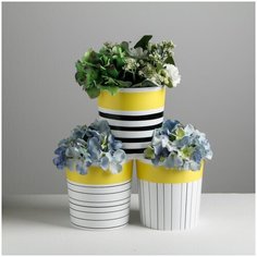 Набор кашпо 3 в 1 «Черно-белая геометрия», 1,6 л Дарите счастье