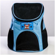 Рюкзак для переноски животных "Лучший друг" 31*23*30 см Пушистое счастье