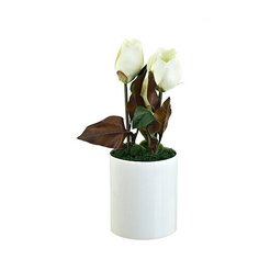 Композиция декоративная с подсветкой "Белые цветы", 18х49 см ENS