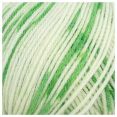 Пряжа из Троицка Кроха принт, секц. 50гр. 135м. (20%шерсть, 80%акрил) (7054 принт) 10 шт Троицкая камвольная фабрика