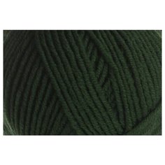 Пряжа ALIZE Lanagold 100гр., 240м (49%шерсть, 51%акрил) (118 темно-зеленый) 5 шт