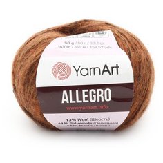 Пряжа YarnArt Allegro 50гр 145м (13% шерстъ, 41% полиамид, 46% акрил) (712 темно-оранжевый меланж ) 10 шт