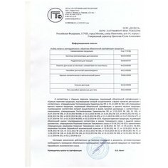 Набор Тату-арт Bondibon "Eva Moda. Золото и серебро"
