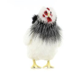 Мягкая игрушка Hansa Курица французской породы 26 см