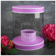 Коробка подарочная 22 х 22 х 26 см 3613993 Сима ленд