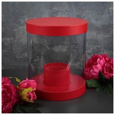 Коробка подарочная 22 х 22 х 26 см 3613985 Сима ленд