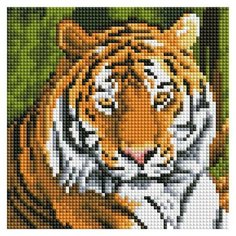 Алмазная мозаика "Тигр на отдыхе" Рыжий кот