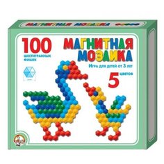Магнитная шестигранная мозаика, 100 элементов, 5 цветов. Десятое королевство
