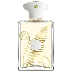 Парфюмерная вода Amouage Bracken Man, 100 мл
