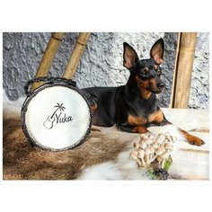 Джембе Yuka DJWN8-16BR2