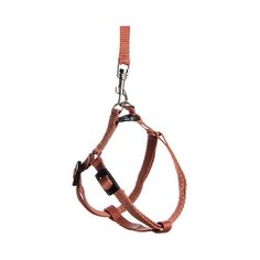 Комплект для кошек "Зооник", поводок + шлейка