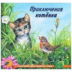 Гурина И.В. "Познаем мир вокруг нас. Приключения котенка" Flamingo