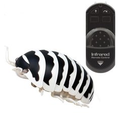 Радиоуправляемый робот ZF Насекомое Белая Мокрица - ZF-9920B Jiahuifeng