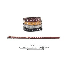 Ошейник для собак Дарэлл "Стандарт", 1 слой, кожаный, 12 мм х 26-34 см