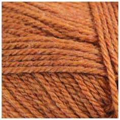 Пряжа Пехорка "Носочная", 200 метров, 10 мотков по 100 грамм, цвет: 34 золото